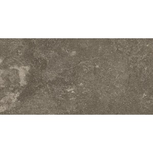 RAGNO CERAMICHE REALSTONE_LUNAR UNIFORM 30X60 STRUCTURED