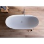 GLASS 1989 BLOOM FREESTANDING TUB IN MATTE WHITE HARDLITE
