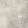 PLANT POWDER 75X75 rectified