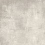 PLANT POWDER 60x60 rectified