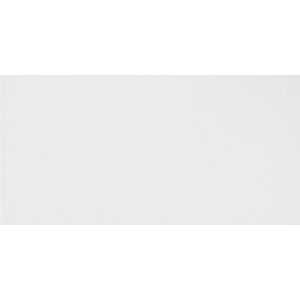 ATLAS CONCORDE 3d wall Solid White Glossy 40x80 LUCIDA sp8.5