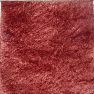 FISSORE.com DE MAIO SPUGNATO ROSSO 20X20 (STOCK)