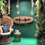 Jungle